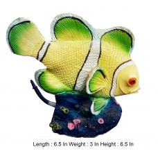 Fish On Green Rock Medium